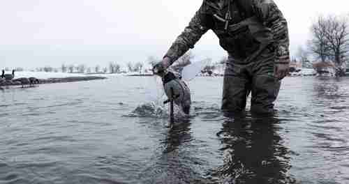Man placing spinner motion duck decoy