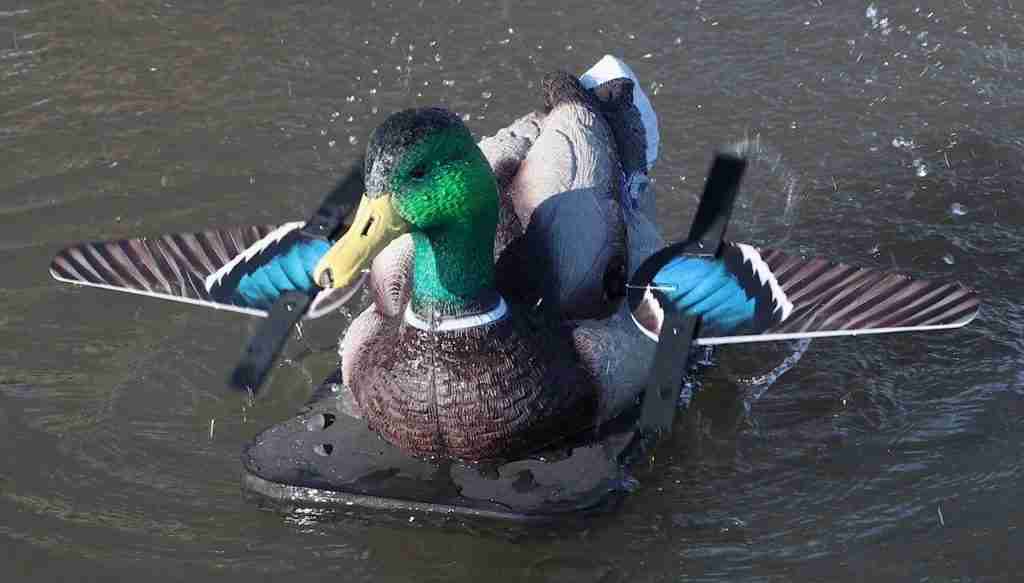 Motion decoy splashing in water