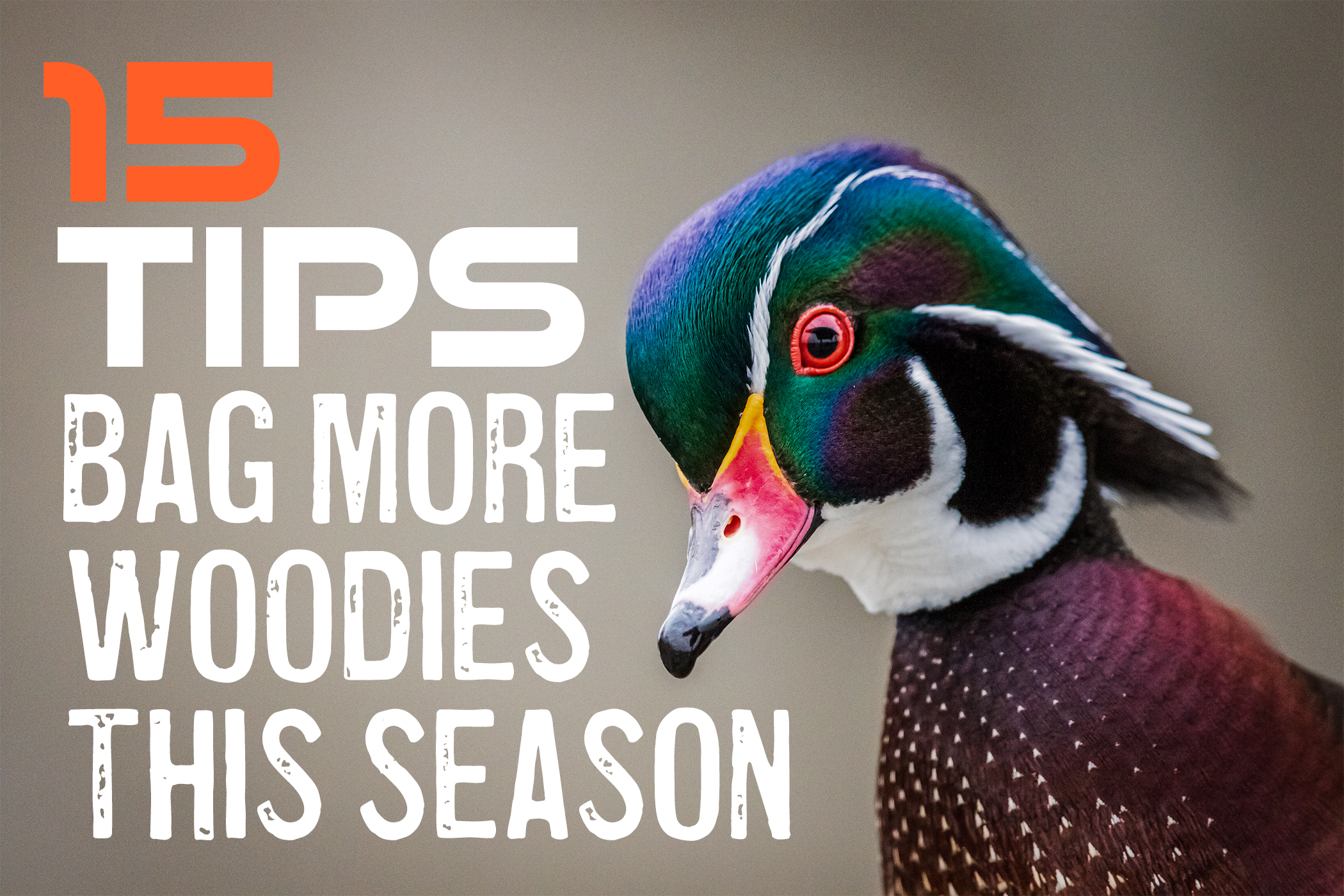 Wood Duck Hunting
