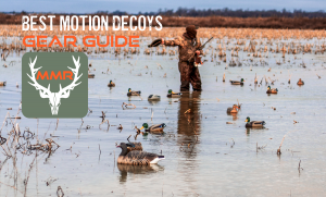Best motion decoys