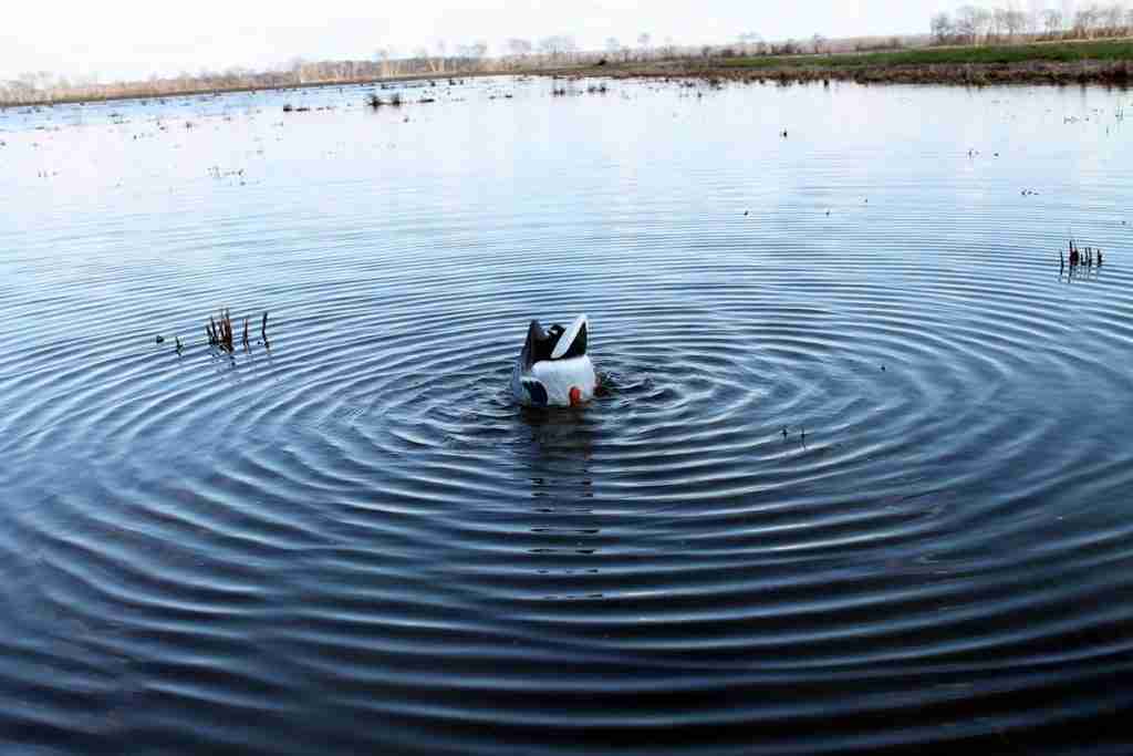 Motion duck decoy making ripples
