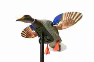 Spinner Decoy on Pole