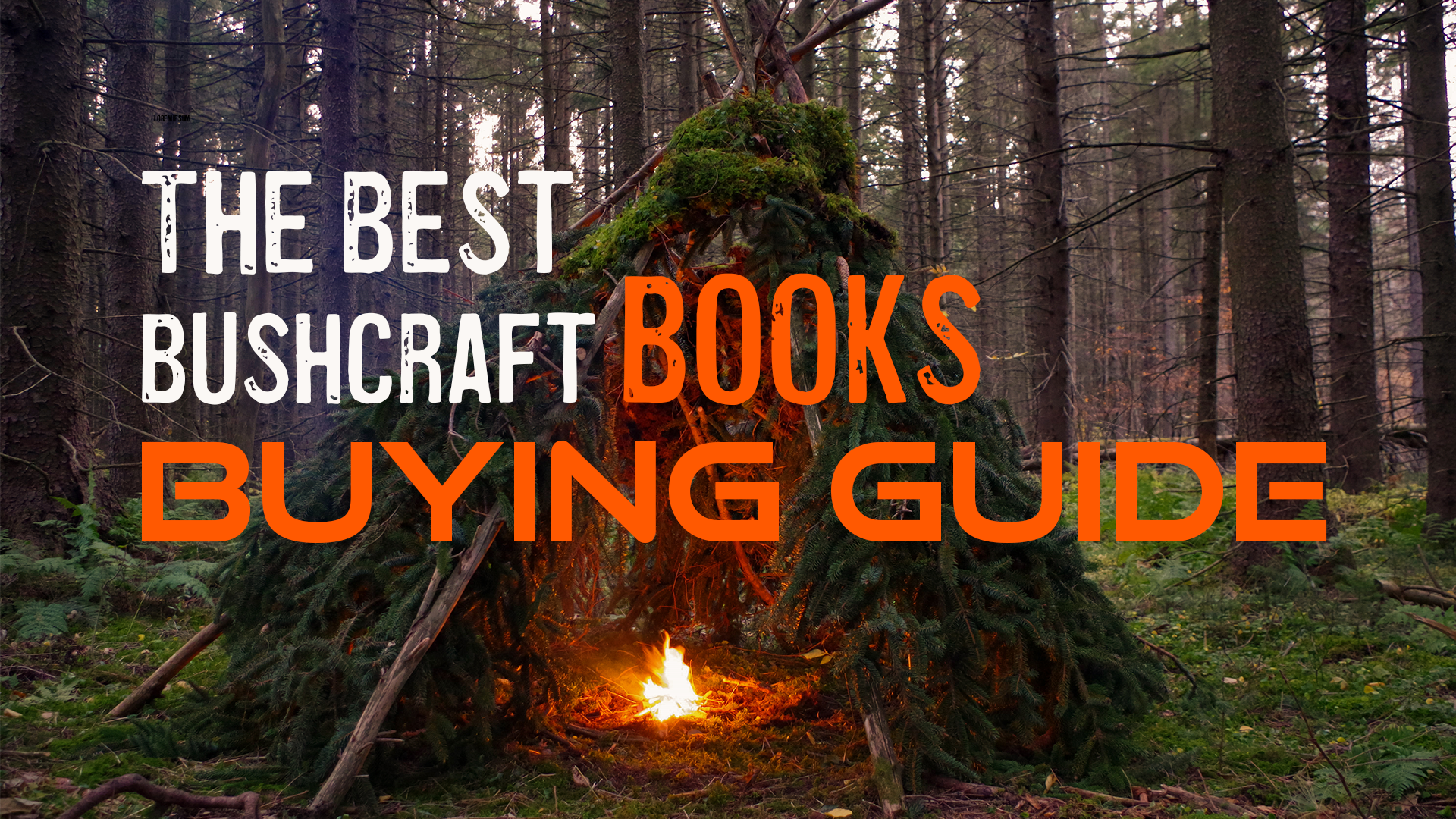 Best Bushcraft books buying guide