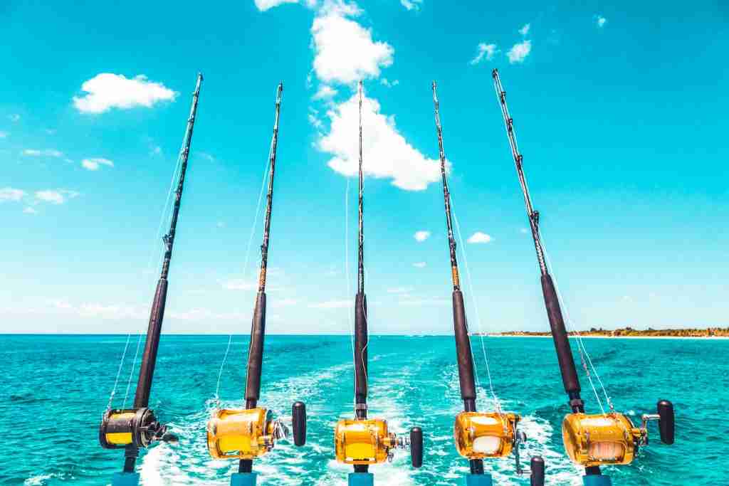 deep sea fishing poles on boat