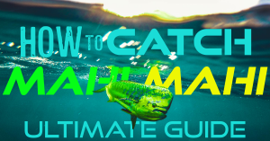 How to Catch Mahi Mahi