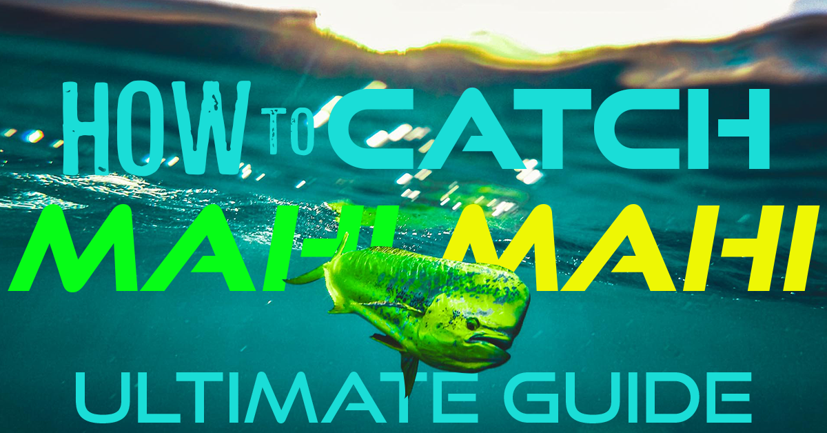 How to Catch Mahi Mahi
