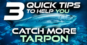 3 quick tips to help you catch more tarpon