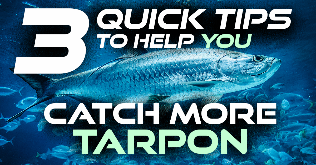 3 quick tips to help you catch more tarpon