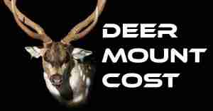 Deer mount cost