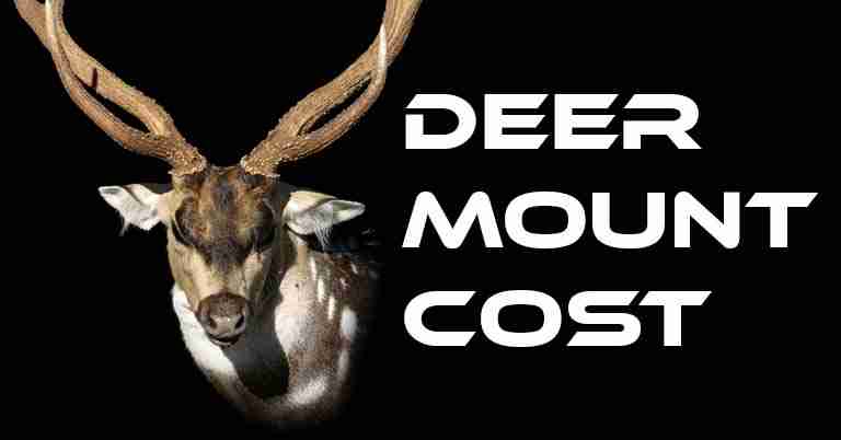 Deer mount cost