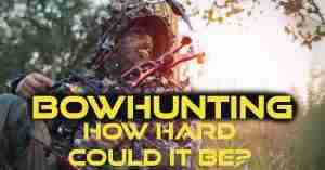 Bow Hunting - Is It as Hard as We Make It?