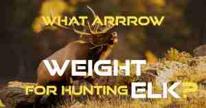 What arrow weight for hunting elk