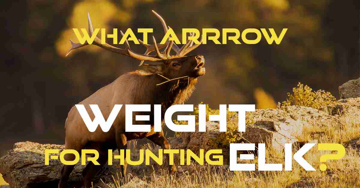 What arrow weight for hunting elk
