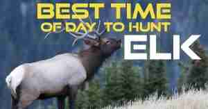 Best time to hunt elk