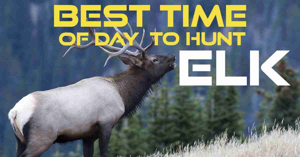Best time to hunt elk